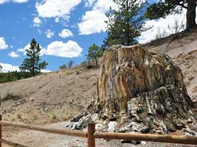 Florissant Fossil Beds things to do near Cripple Creek Colorado visit stay vacation